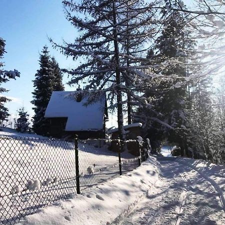 Domek Pod Modrzewiem Nowy Targ Dış mekan fotoğraf