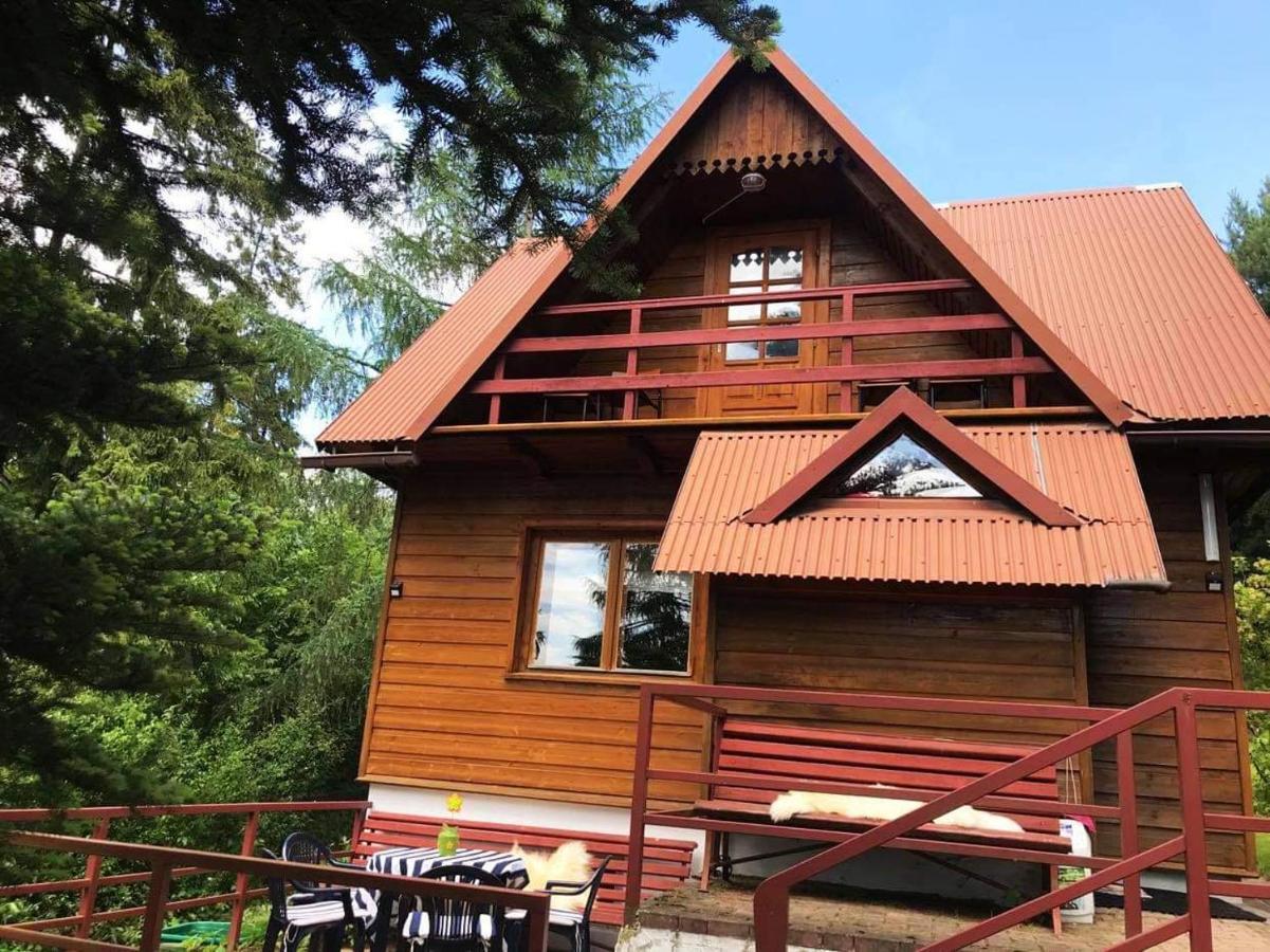 Domek Pod Modrzewiem Nowy Targ Dış mekan fotoğraf