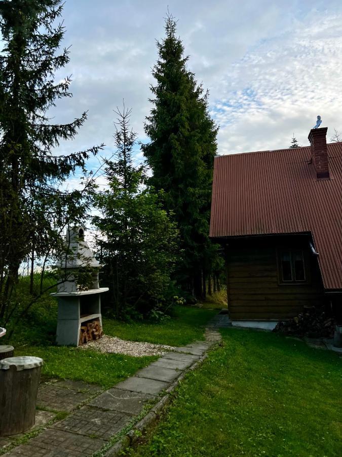 Domek Pod Modrzewiem Nowy Targ Dış mekan fotoğraf