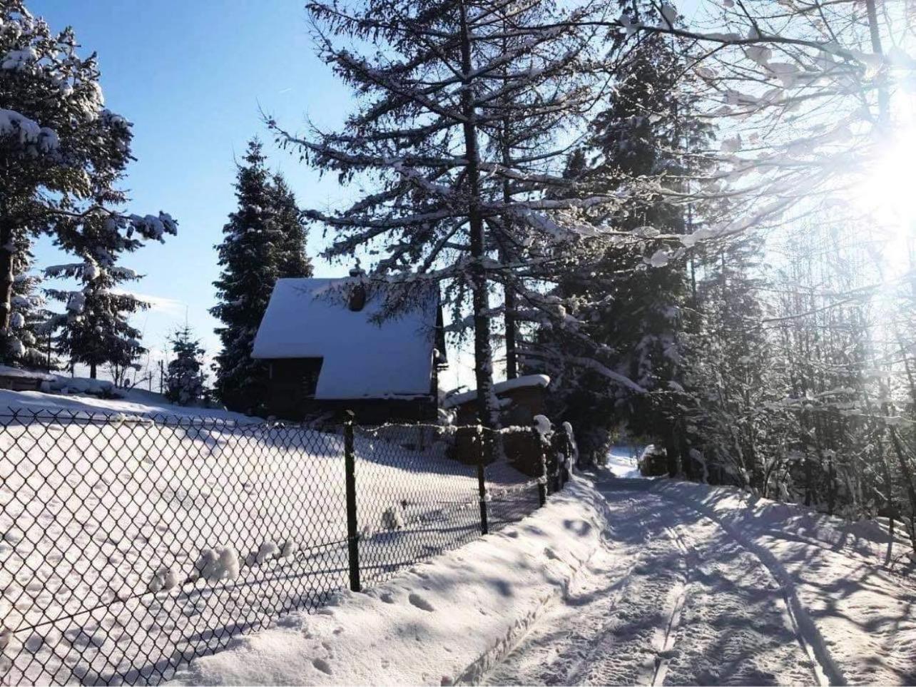 Domek Pod Modrzewiem Nowy Targ Dış mekan fotoğraf
